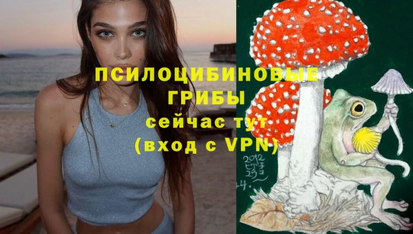герыч Алзамай
