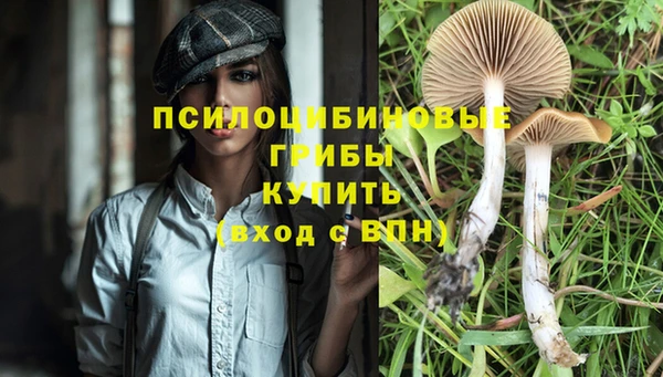 кристаллы Алексеевка
