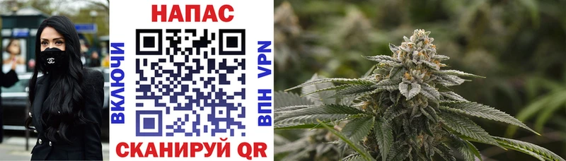 Бошки Шишки семена  blacksprut рабочий сайт  Феодосия 